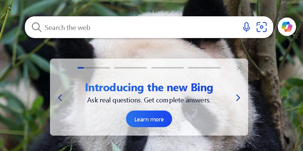 Bing Search Bar