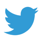 Twitter icon vector image